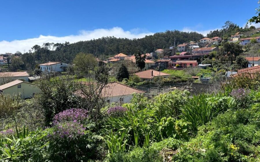 Discover the Paradise Valley - a quick escape for Everyone - Views Over Camacha: Short, Rewarding, and Not Too Demanding