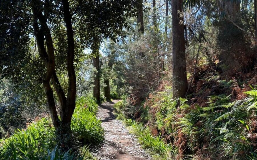 Discover the Paradise Valley - a quick escape for Everyone - What You’ll Know Before You Go (Practical Tips)
