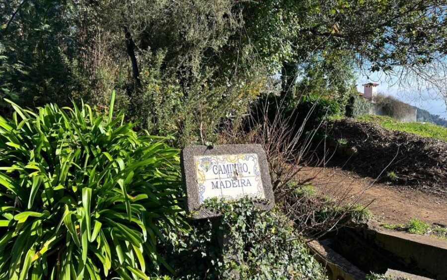 Discover the Paradise Valley - a quick escape for Everyone - Getting There From Funchal and Caniço (And Why It Matters)