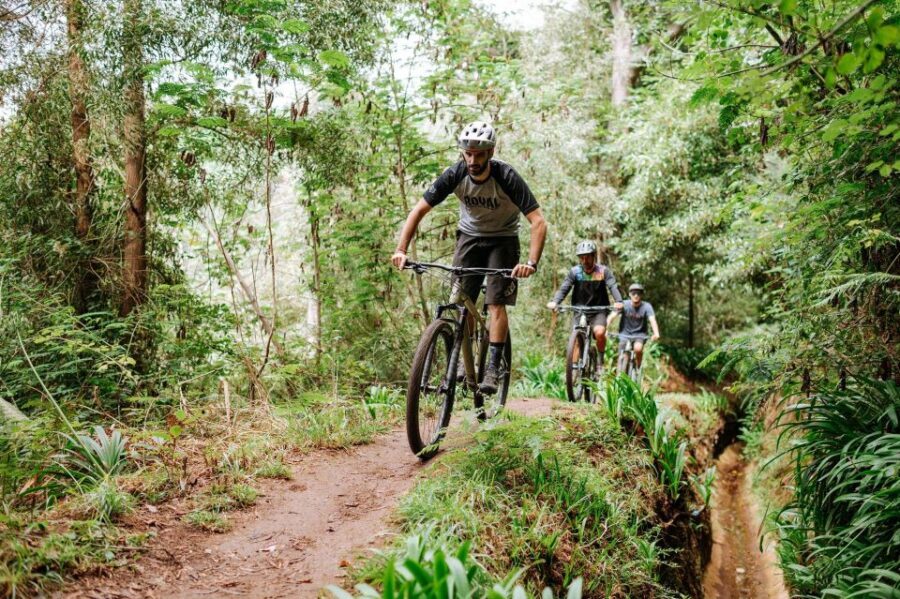 E-Bike Guided Tour - Belle Vue Mountain Biking - Mountain-to-sea on an e-bike: why this route feels special