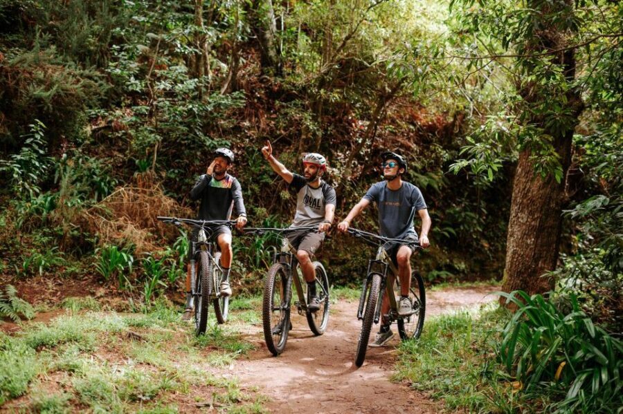 E-Bike Guided Tour - Belle Vue Mountain Biking - The old regional road to Machico: finishing at sea level