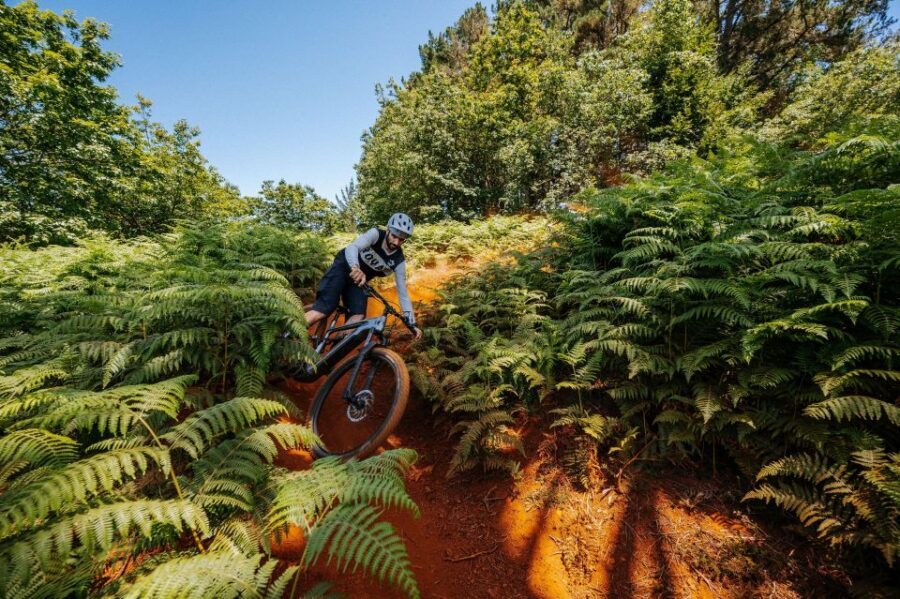 E-Bike Guided Tour - Belle Vue Mountain Biking - Included value: what you’re paying for with the $159 price