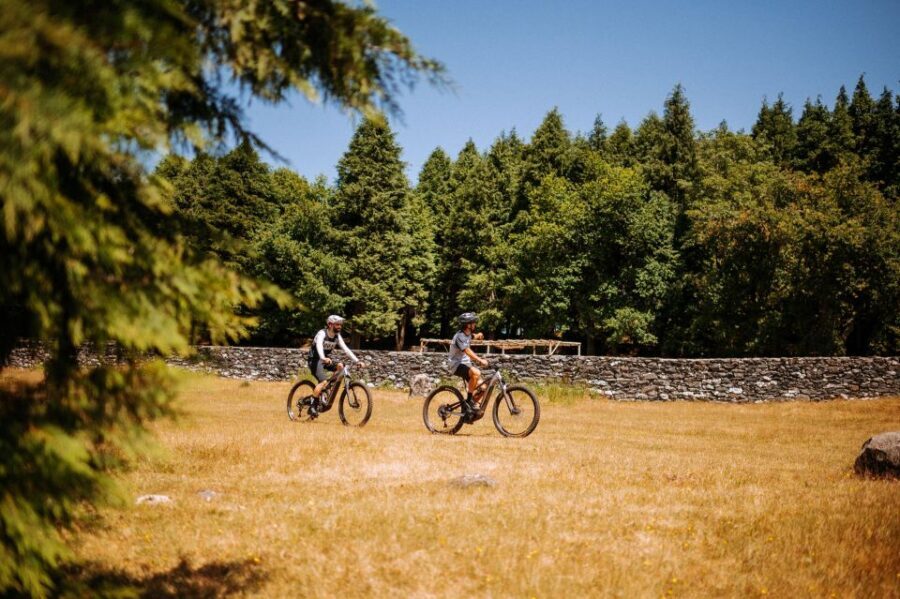 E-Bike Guided Tour - Belle Vue Mountain Biking - Poiso drop-in: starting at elevation without the all-day climb