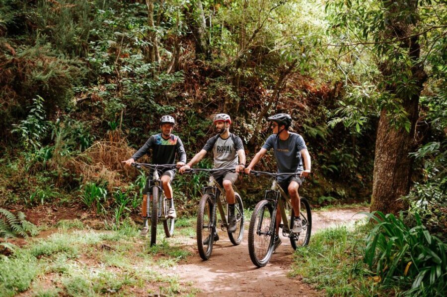 E-Bike Guided Tour - Mountain biking experience - Why Camacha and the southern levadas feel like a real Madeira ride