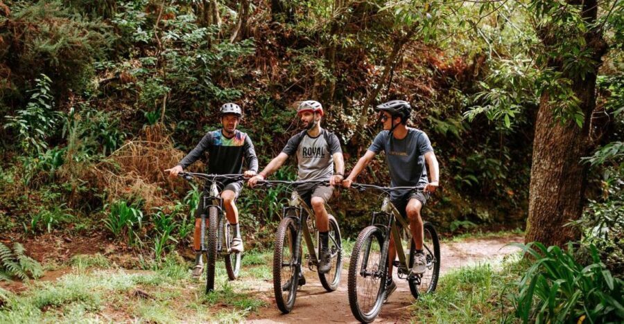 E-Bike Guided Tour - Mountain biking experience - Price and what you actually get for $123