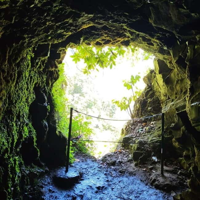 East Side of Madeira – Elegant Alternative to 4x4 Adventures - Stop 2: Ribeiro Frio and the Laurissilva Levada Walk