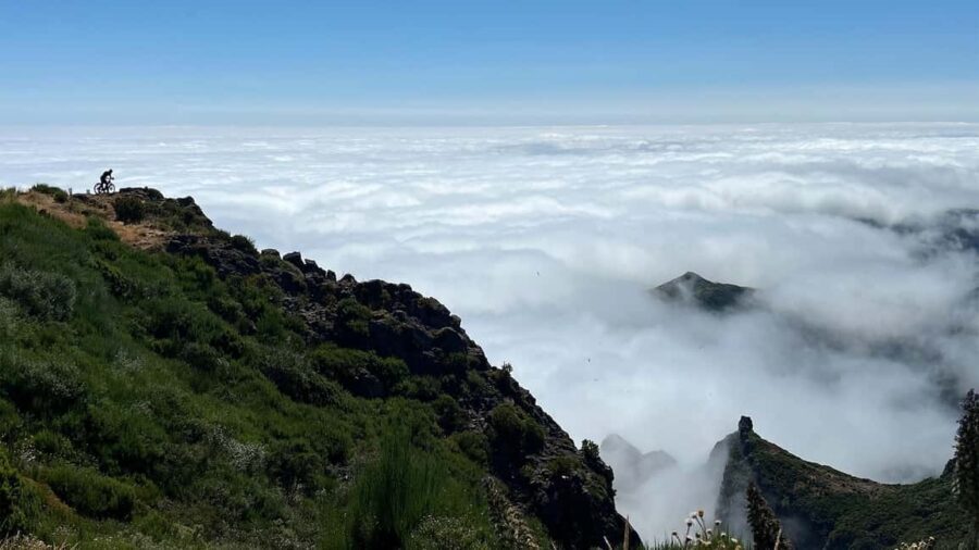 East Side of Madeira – Elegant Alternative to 4x4 Adventures - Price and Value: What You’re Paying For at $70