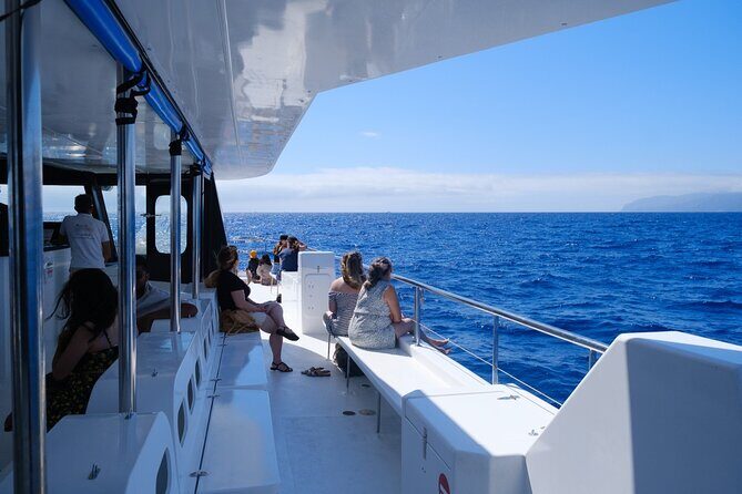 Eco-Friendly Catamaran Dolphin and Whale Watching - Eco Catamaran in Madeira: What You Actually Do in 3 Hours