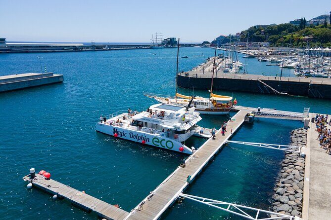 Eco-Friendly Catamaran Dolphin and Whale Watching - Drinks, Snacks, and What’s Included (and Not)