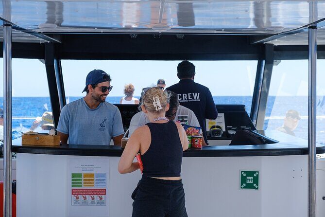 Eco-Friendly Catamaran Dolphin and Whale Watching - Who This Tour Fits Best (and Who Should Think Twice)