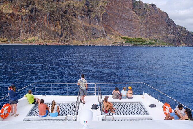 Eco-Friendly Catamaran Dolphin and Whale Watching - Wildlife Search Off Funchal: Land Spotters, Quick Decisions, Real Chances