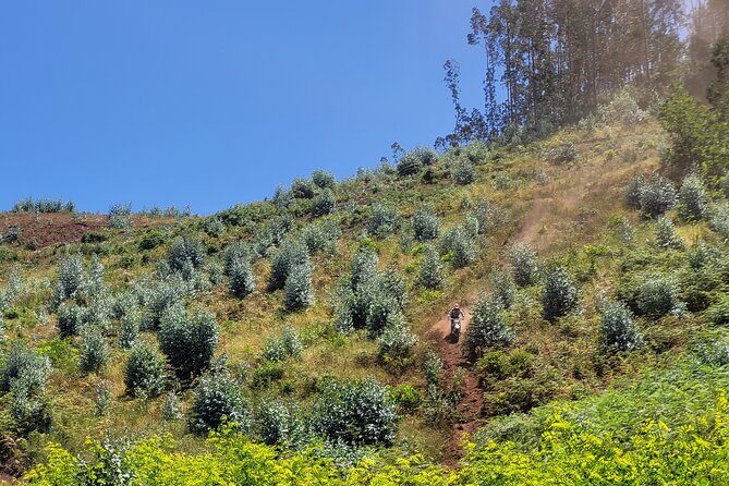 Enduro Dirt-Bike Tour - Stop 1: Viewpoint Pico do Areeiro and the value of quick scenic pauses