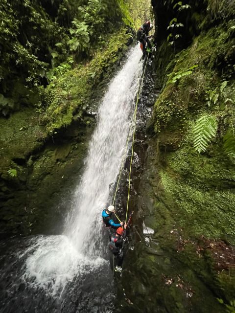 EPIC Madeira Canyoning Level Two - Key Things That Make This Madeira Canyoning Tour Worth It