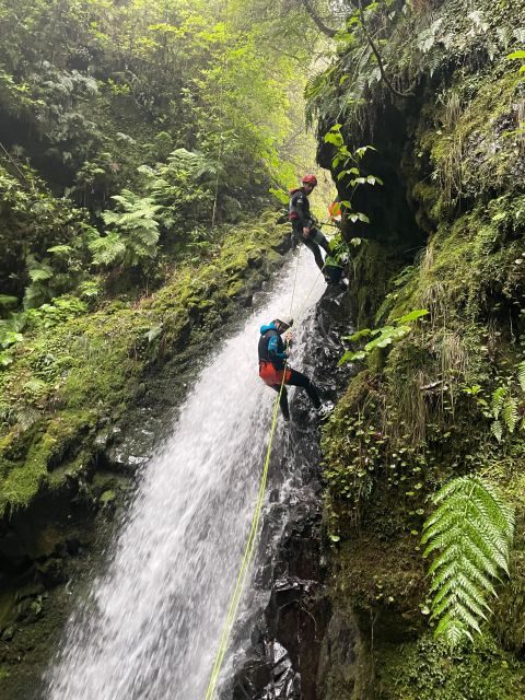 EPIC Madeira Canyoning Level Two - Price and Value: Is $97 a Fair Deal for 3.5 Hours?