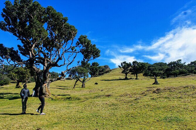 Exploring new Northwest frontiers: Beyond Madeira in 4x4 tour - More Tabua and Candelária: agriculture on terraces and rural calm