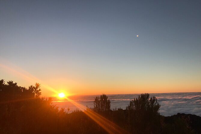 Fanal Forest Private Sunset Hike - Why Fanal Feels Different From Most Madeira Walks