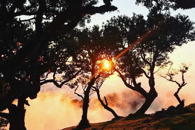 Fanal Forest Private Sunset Hike - Timing: From Pick-up to a Late-Afternoon Sunset Shot