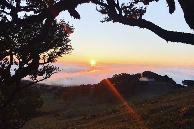 Fanal Forest Private Sunset Hike - The 7 km Walk: Mostly Flat, Still Worth Your Attention