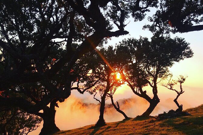 Fanal Forest Private Sunset Hike - Chasing Sunset Over the Clouds (Without Counting on It)