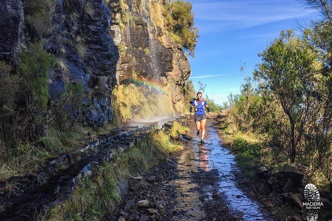 Folhadal Hidden Treasures Running Tour (Moderate) - The Physical Reality Check: 18 km and About 700 m of Gain/Loss