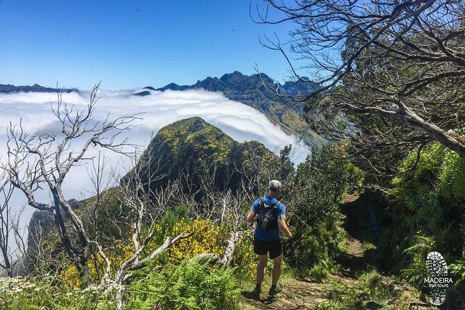 Folhadal Hidden Treasures Running Tour (Moderate) - The Route Breakdown: Levada Start, Two Tunnels, Waterfalls, and Forest Humidity