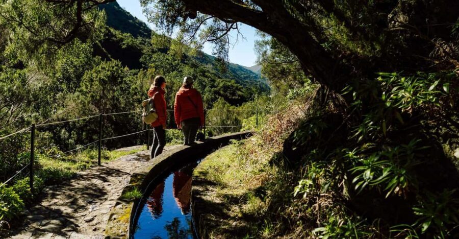 From Funchal/Caniço: Rabaçal Hike (25 Fontes) Bus Transfer - Why this transfer makes the 25 Fontes hike feel simple