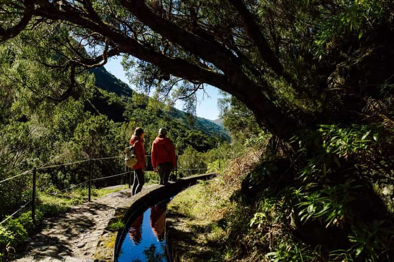 From Funchal/Caniço: Rabaçal Hike (25 Fontes) Bus Transfer - Pickup points around Funchal and Caniço: where you’ll actually meet your ride