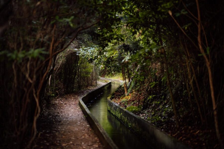 From Funchal/Caniço: Rabaçal Hike (25 Fontes) Bus Transfer - The Rabaçal Tunnel: plan for wet and bring a flashlight