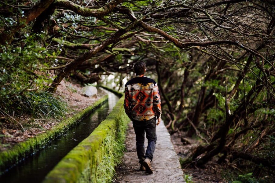 From Funchal/Caniço: Rabaçal Hike (25 Fontes) Bus Transfer - What to bring for 25 Fontes in Madeira weather