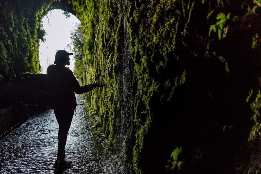 From Funchal/Caniço: Rabaçal Hike (25 Fontes) Bus Transfer - The road to Rabaçal: what that one-hour ride gives you