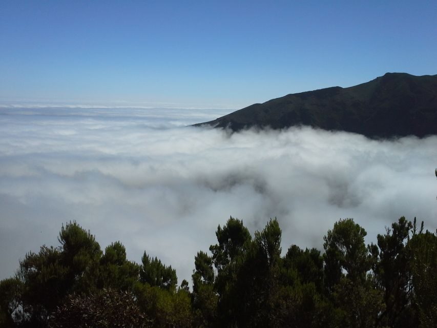 From Funchal: East Tour Madeira 4x4 Jipe Tour Santana Houses - Ribeiro Frio walk (45 minutes): the short stretch that makes the day feel real