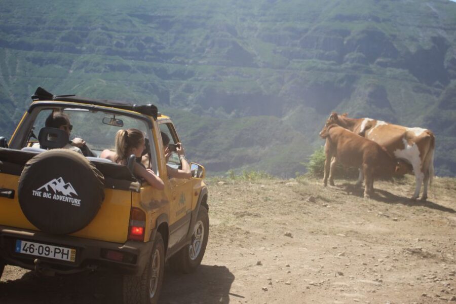 From Funchal: Guided Tour of Madeira Mountains in a Jeep - Câmara de Lobos terraces and the culture behind the view