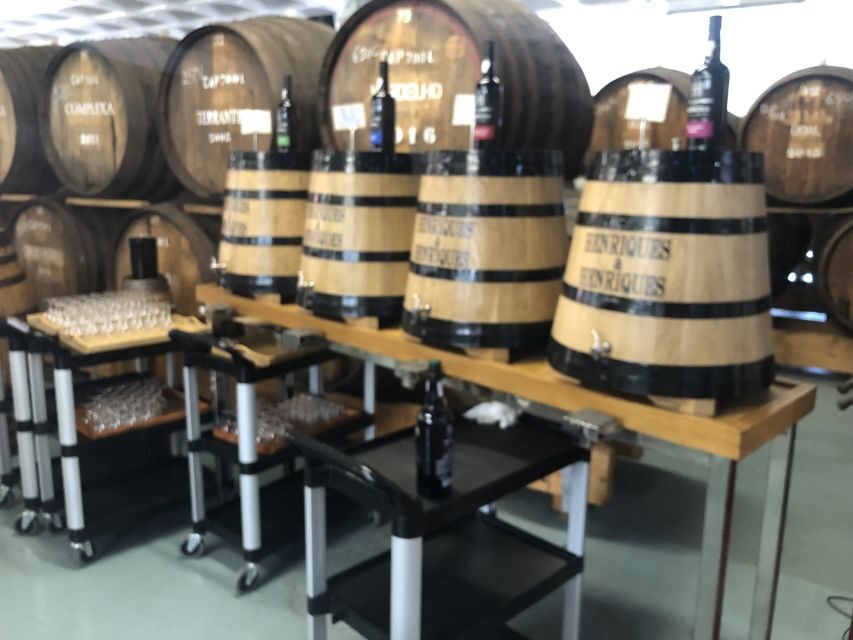 From Funchal: Jeep Tour with Madeira Wine Tasting - Guides make the day: Andre, Ricardo, Victor, and Vitor moments that shaped the experience