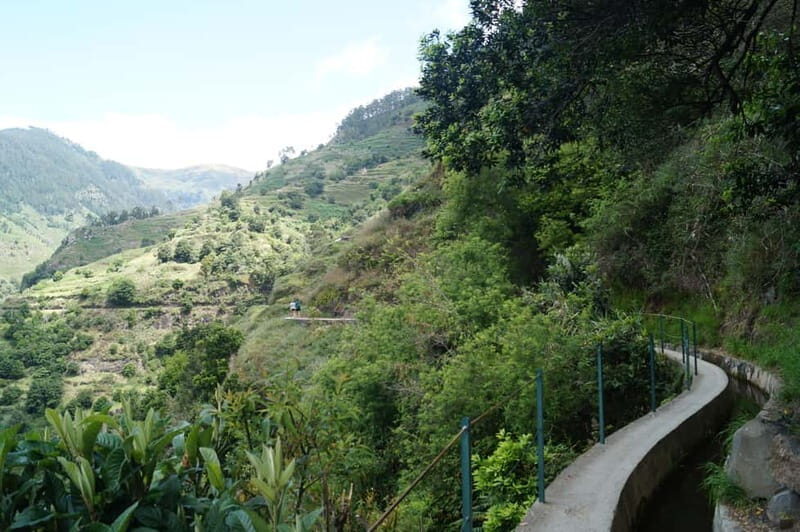 From Funchal: Levada Nova Hiking Tour with stopover at beach - The 2.5–3 Hour Hike: Moinhos Levada Meets Levada Nova