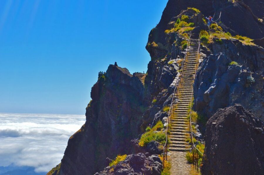 From Funchal: Madeira Peaks Mountain Walk - Key things I’d circle before you book