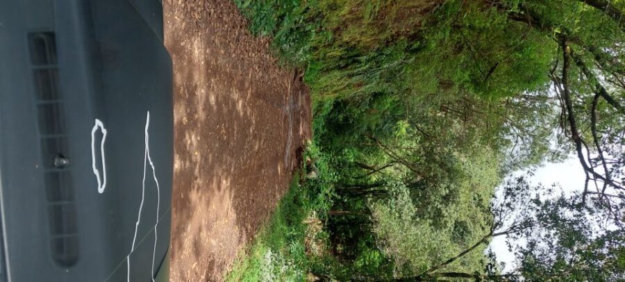 From Funchal: Pico Do Arieiro and Santana Full-Day 4x4 Tour - Key Things I’d Watch For Before You Go