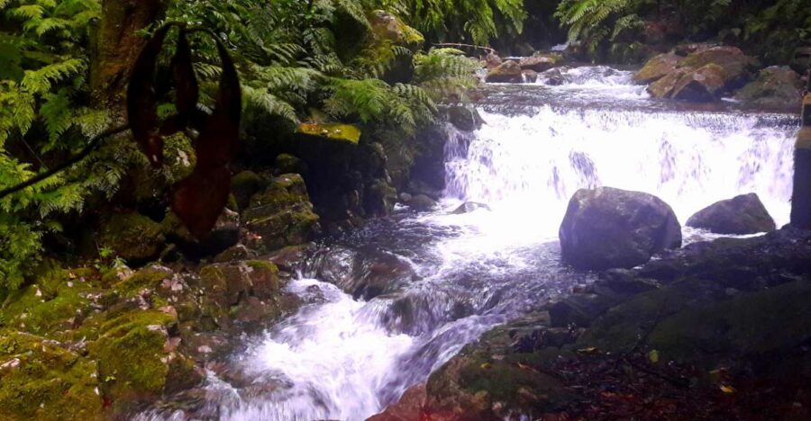 From Funchal: São Jorge Valleys Levada Walk - São Jorge’s Levada Trails: where water channels become the main attraction