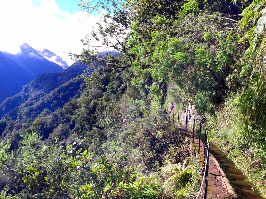 From Funchal: São Jorge Valleys Levada Walk - Rainforest hiking plus an herb lesson that actually sticks