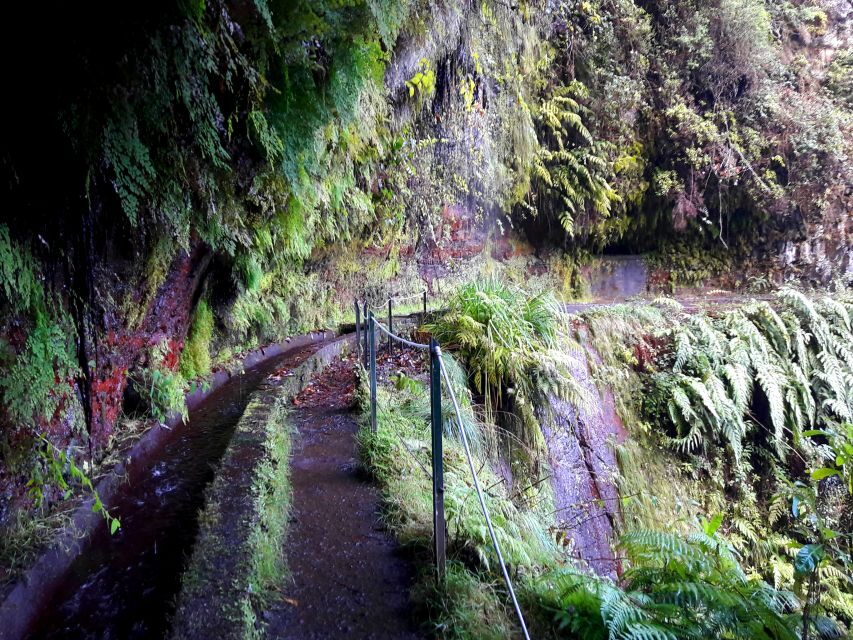 From Funchal: São Jorge Valleys Levada Walk - How the 8 hours usually play out (pickup to return)