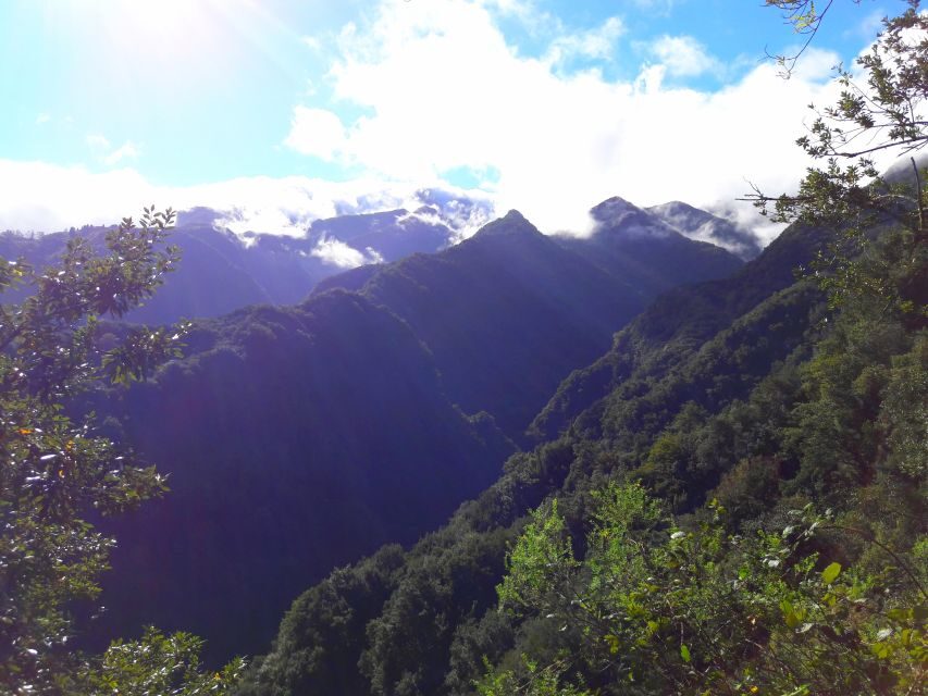 From Funchal: São Jorge Valleys Levada Walk - Price and logistics: is $50 worth it?