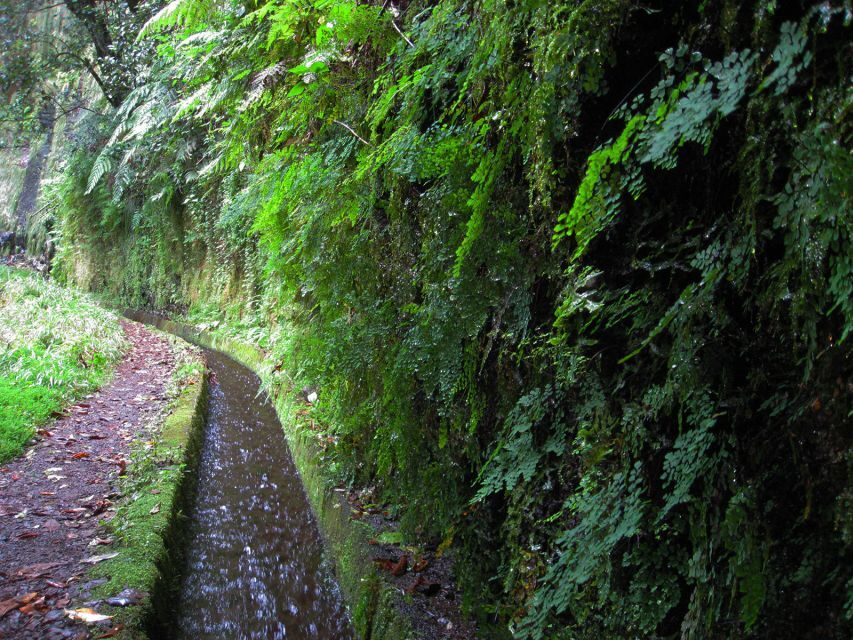 From Funchal: São Jorge Valleys Levada Walk - What to bring so the day stays fun