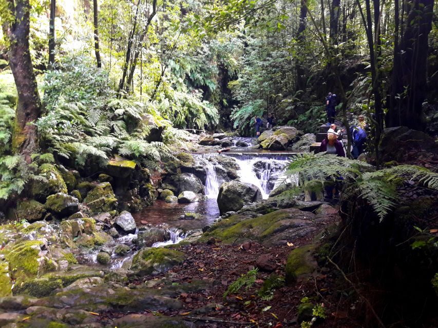 From Funchal: São Jorge Valleys Levada Walk - Who should book this levada walk, and who might want to choose something else