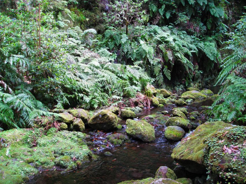 From Funchal: São Jorge Valleys Levada Walk - The waterfall passage: why your shoes will regret it