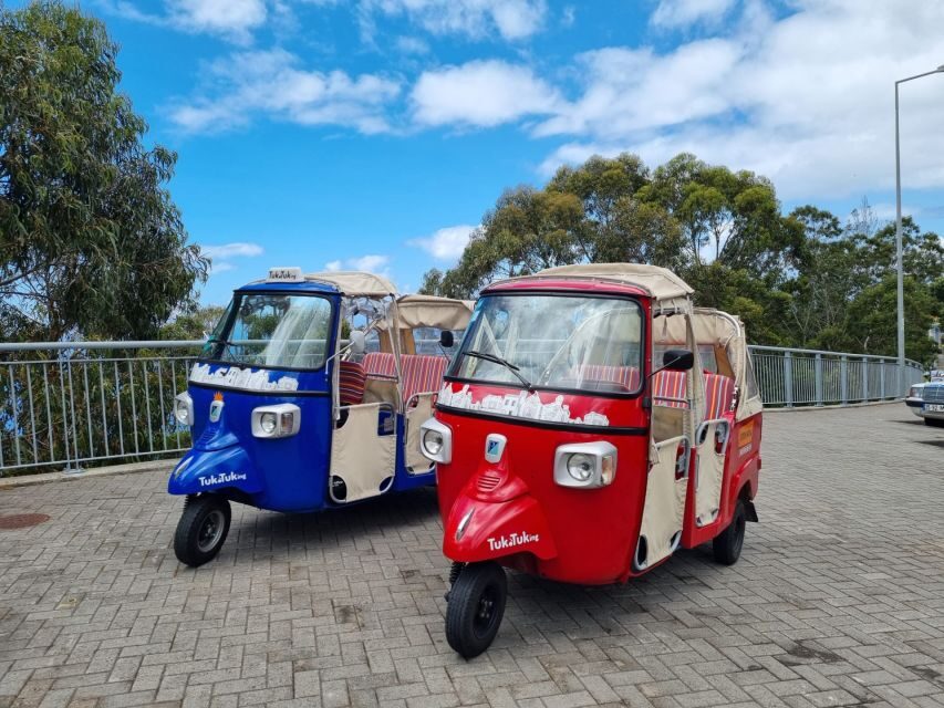 From Funchal: Tuk Tuk Tour to Camara de Lobos and Cabo Girao - Key Things You’ll Notice on This Madeira Tuk-Tuk Route