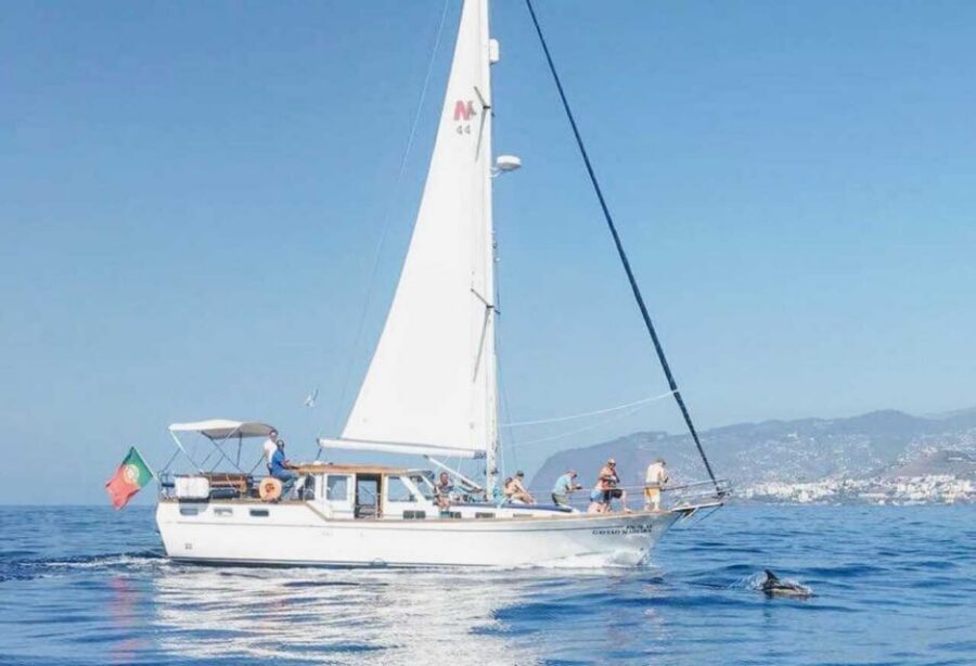 From Funchal: West Bays Sailing Tour with Lunch - Cruising Madeira’s West Coast Bays Like a Local