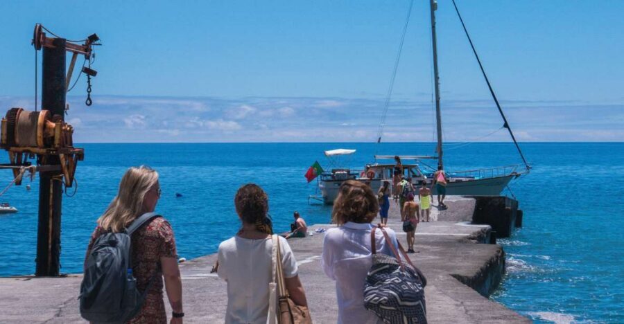 From Funchal: West Bays Sailing Tour with Lunch - The Wildlife Moment: Dolphins, Whales, and Sea Turtles