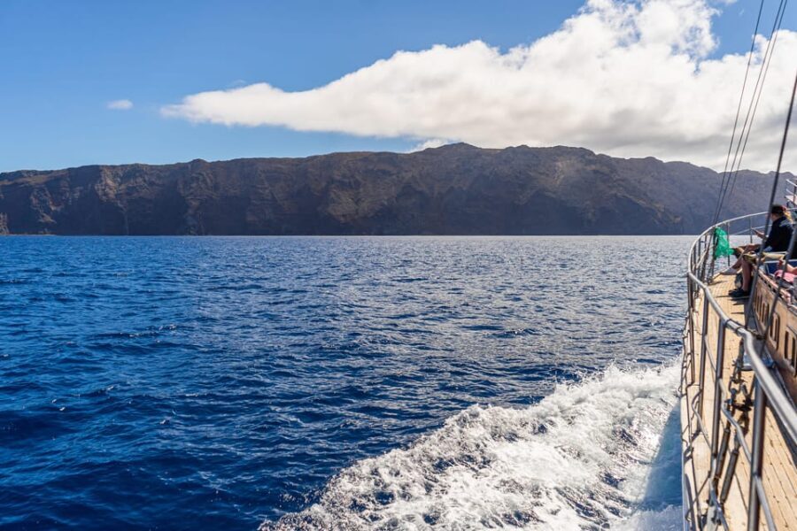From Funchal: Wooden Boat Excursion to Desertas Island - Price and Value at $106: When It Makes Sense