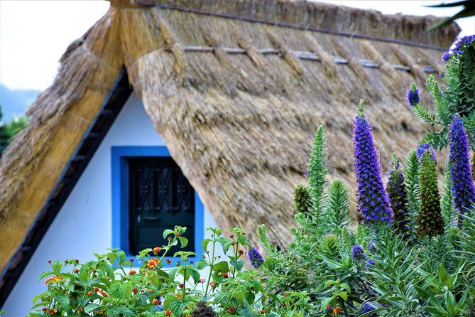 Full Day - Madeira East - What this Madeira East day tour is really like