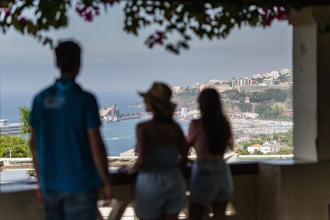 Full Day Madeira Island Private Discovery by Tuk Tuk - Who this tour suits best