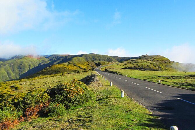 Full-Day Porto Moniz Madeira Island Tour - Fanal (UNESCO): short stop, included entry